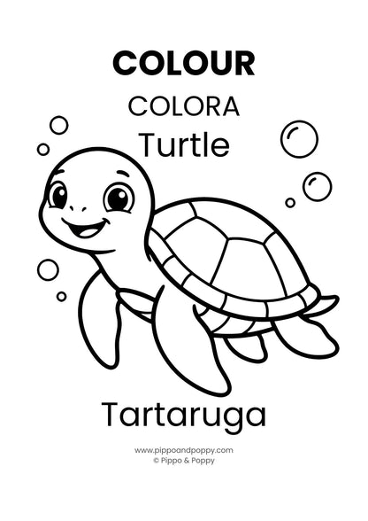 Bilingual Activity Pack (Animals & Nature), Ages 2-4, English–Italian Printable